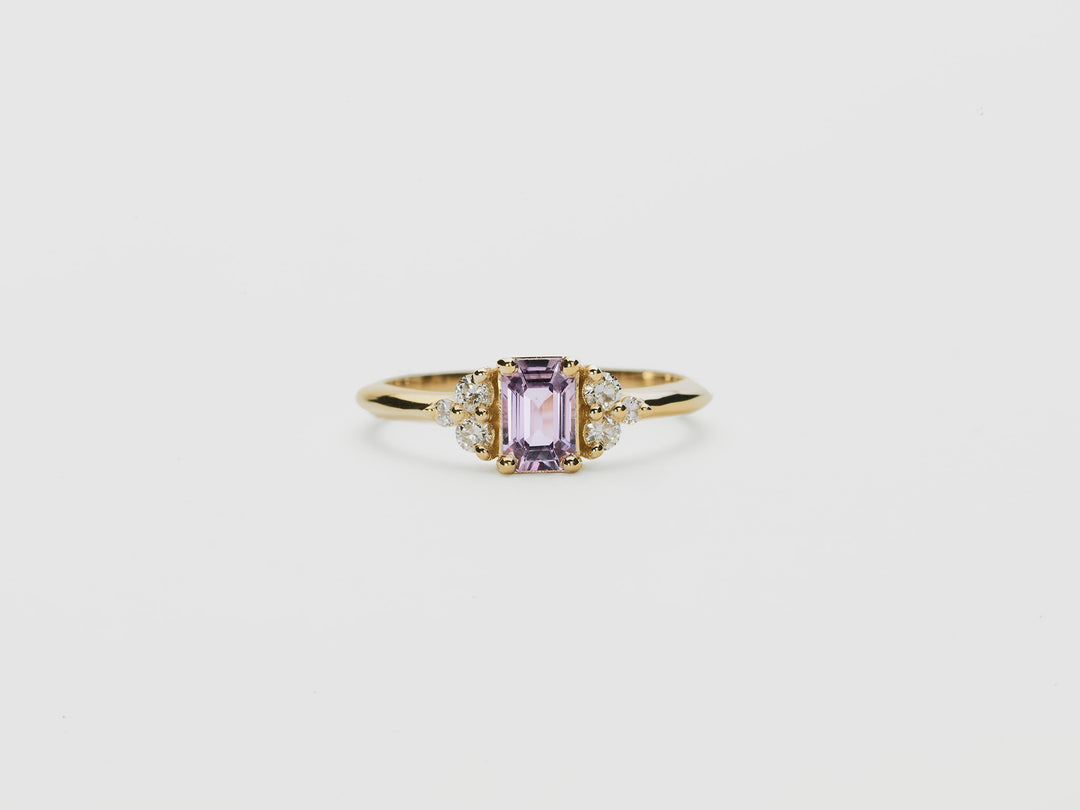Viola